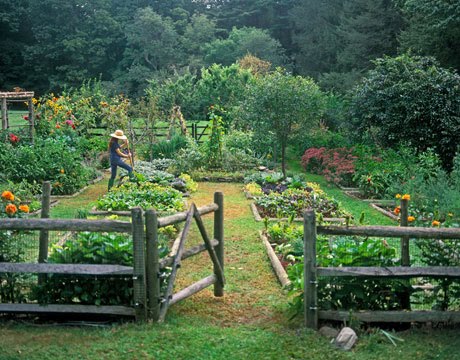 French Potager/Lisa Hubbard