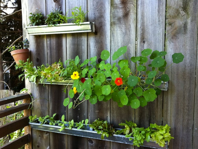 Garden from Gutters - Photo from the Corner Blog