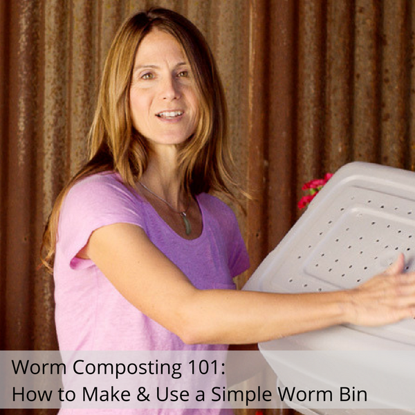 How To Make A Simple Worm Bin