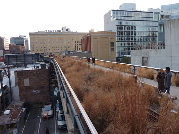 Connections  The High Line