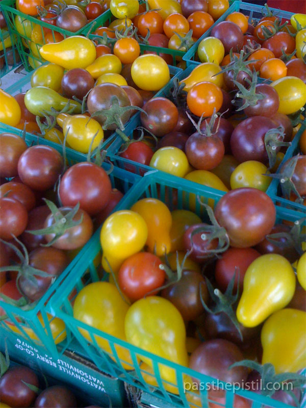 Define Summer | Grow Tomatoes