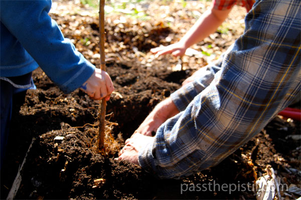 20 Tips for Gardening with Kids