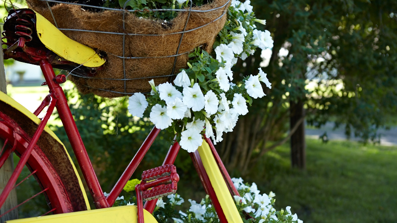 Growing Flowers with Spin: Upcycled Bicycle Gardens