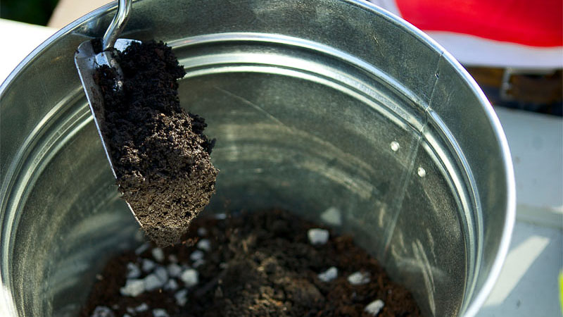 Tips for Selecting Soil at Your Garden Center