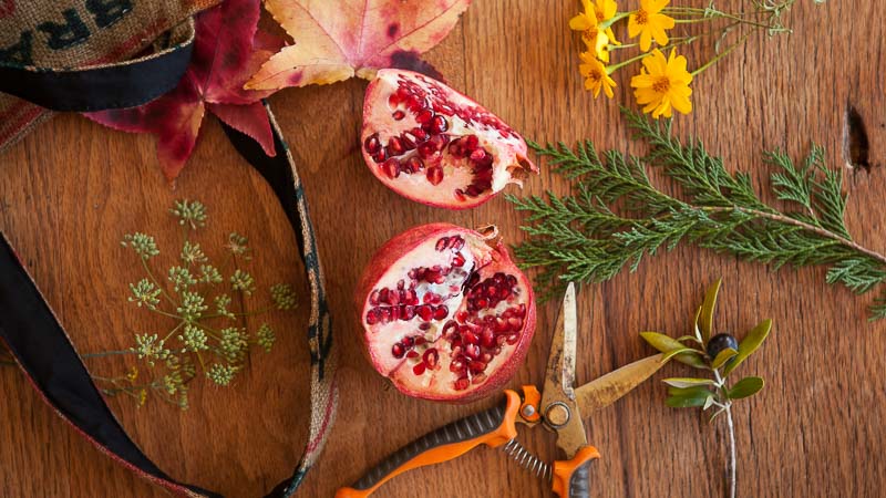 Fall Forage: Cooking with Pomegranates