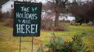 A Local Nursery: Shelburne Vermont | Pass the Pistil