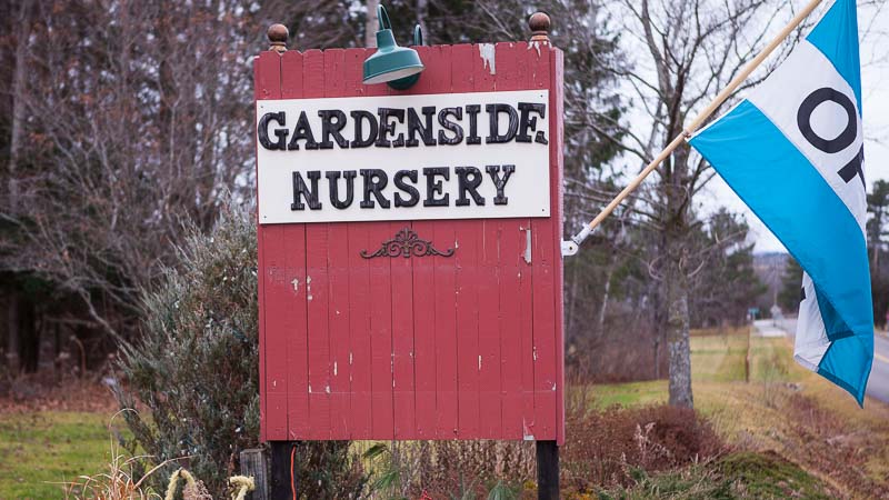 A Local Nursery: Shelburne Vermont