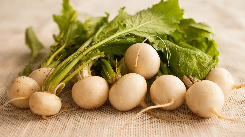 The Truth About Turnips: Recipes & Growing Tips