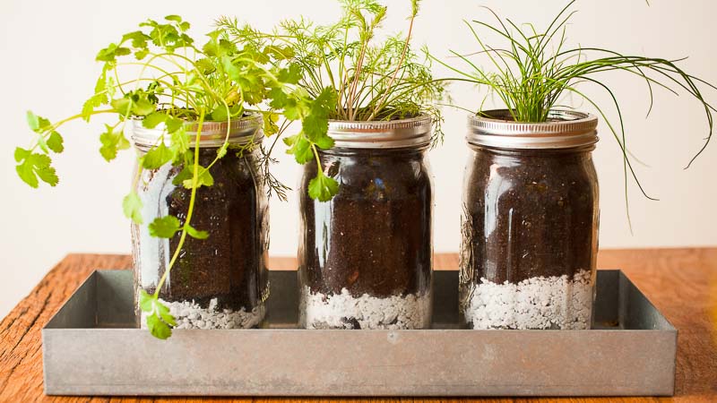 DIY Mason Jar Herb Garden