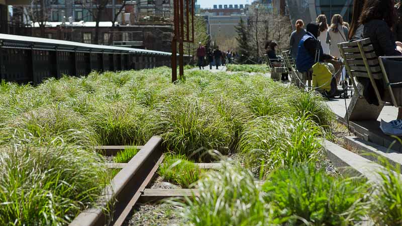 Garden Visit: The High Line, NYC