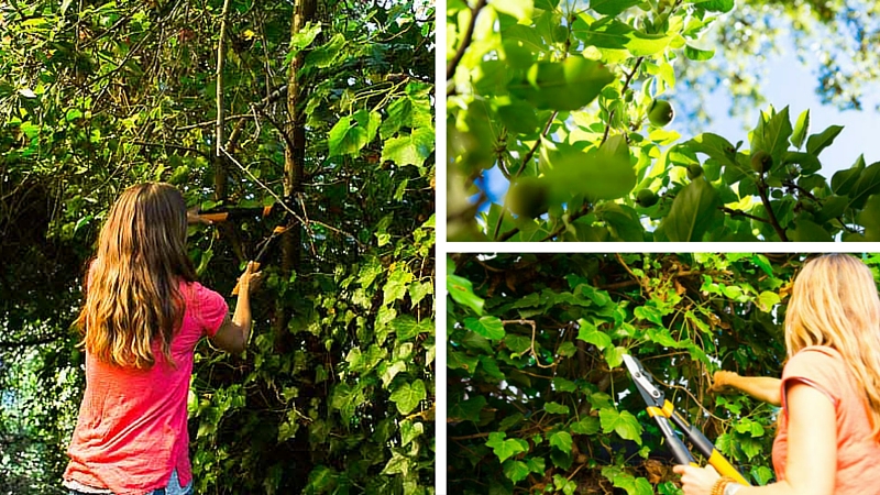 Pruning 101: What to Prune When