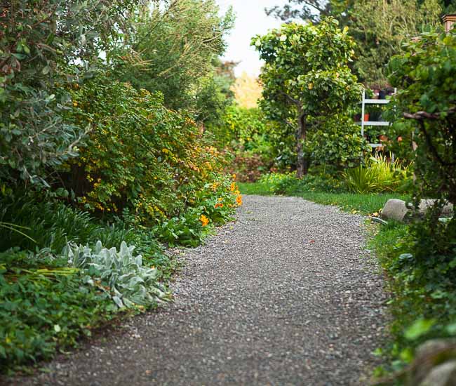 5 Garden Design Ideas Gleaned From the Good Shepherd P-Patch