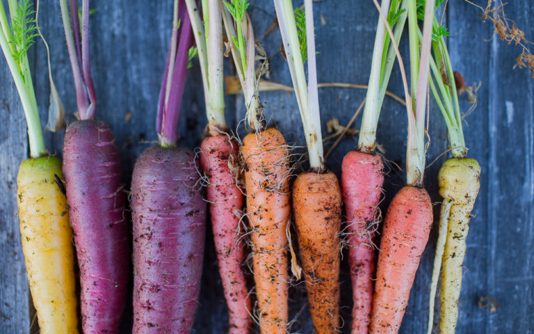 Superfoods: Grow & Eat a Rainbow of Colors