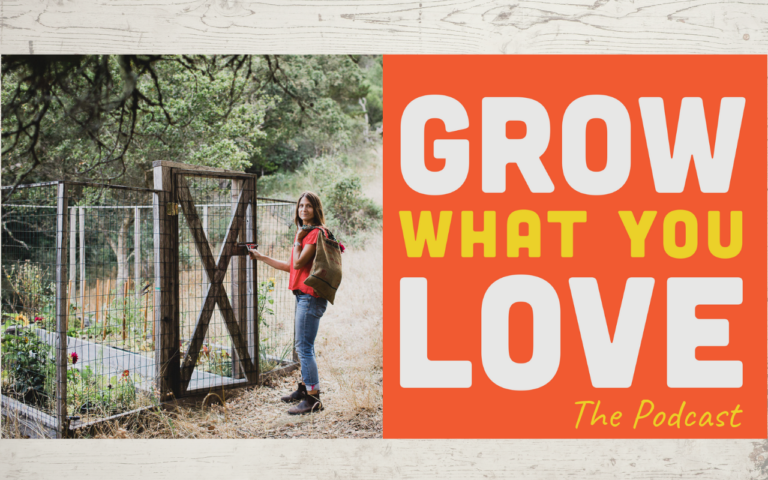 Episode 1: Introducing… Emily Murphy with Grow What You Love!